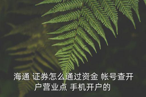 海通證券手機(jī)帳號(hào)是多少