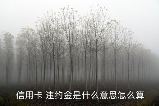  信用卡 違約金是什么意思怎么算