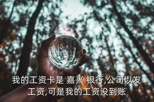 我的工資卡是 嘉興 銀行,公司以發(fā)工資,可是我的工資沒(méi)到賬