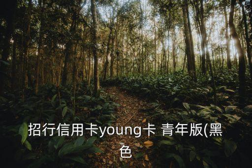 招行信用卡young卡 青年版(黑色