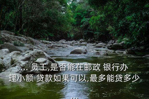... 員工,是否能在郵政 銀行辦理小額 貸款如果可以,最多能貸多少...