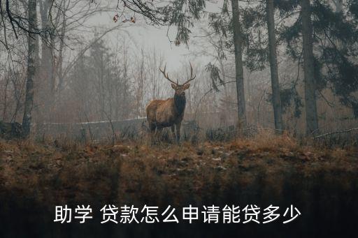 研究生貸款利息是多少錢