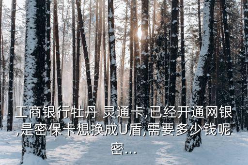 工商銀行牡丹 靈通卡,已經(jīng)開通網(wǎng)銀,是密保卡想換成U盾,需要多少錢呢密...
