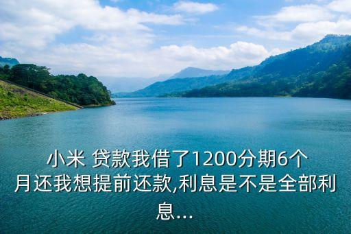 小米貸款 按揭多少期