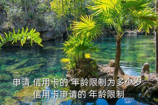 申請(qǐng) 信用卡的 年齡限制為多少歲 信用卡申請(qǐng)的 年齡限制