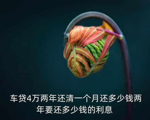  車(chē)貸4萬(wàn)兩年還清一個(gè)月還多少錢(qián)兩年要還多少錢(qián)的利息