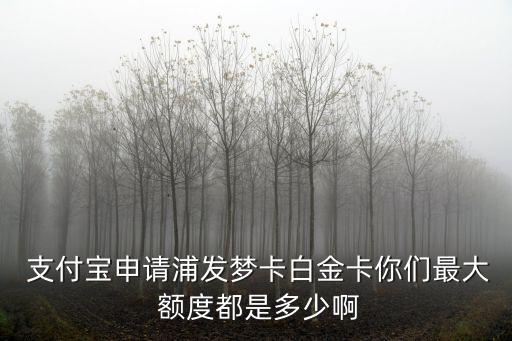  支付寶申請(qǐng)浦發(fā)夢(mèng)卡白金卡你們最大 額度都是多少啊