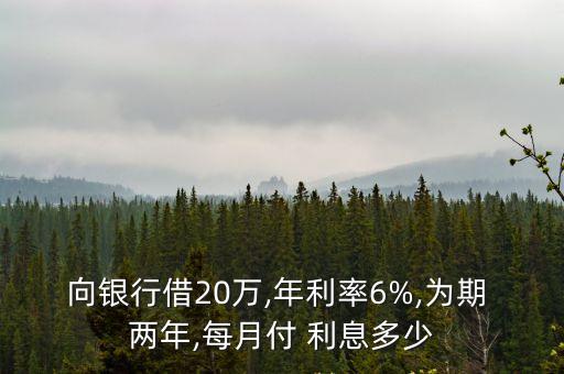 貸款20萬兩年的利息是多少錢,貸款6萬兩年利息