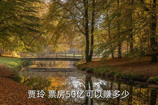賈玲 票房50億可以賺多少