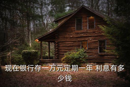 現(xiàn)在銀行存一萬元定期一年 利息有多少錢