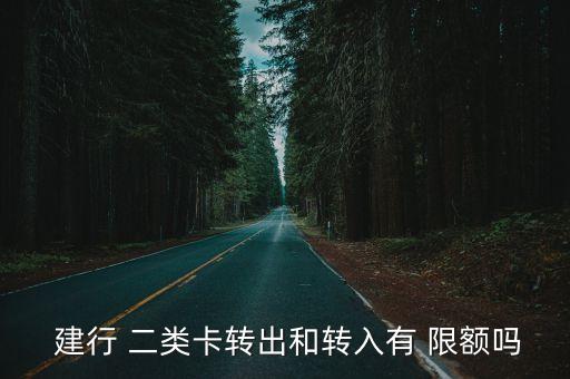 建行二類卡限額是多少錢,中國建行二類卡限額