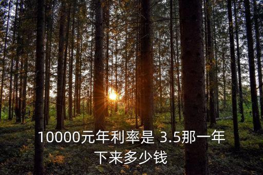 10000元年利率是 3.5那一年下來多少錢