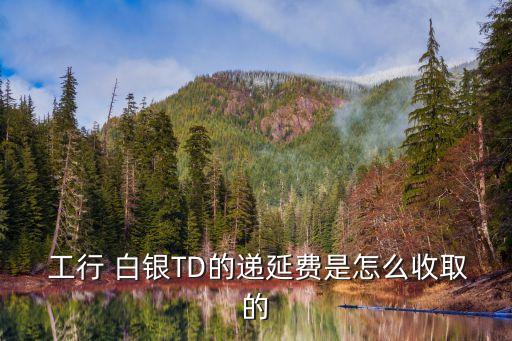  工行 白銀TD的遞延費(fèi)是怎么收取的