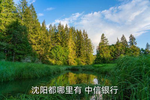 沈陽都哪里有 中信銀行