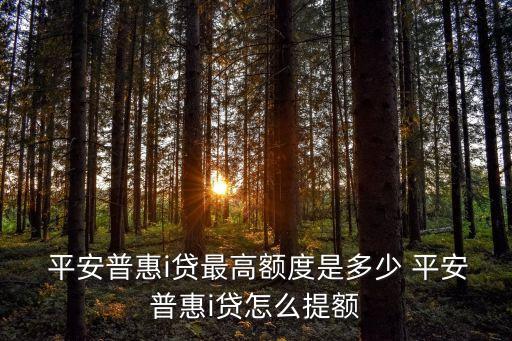 平安貸款最高可貸多少錢