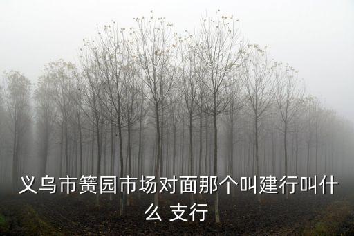  義烏市簧園市場對面那個叫建行叫什么 支行