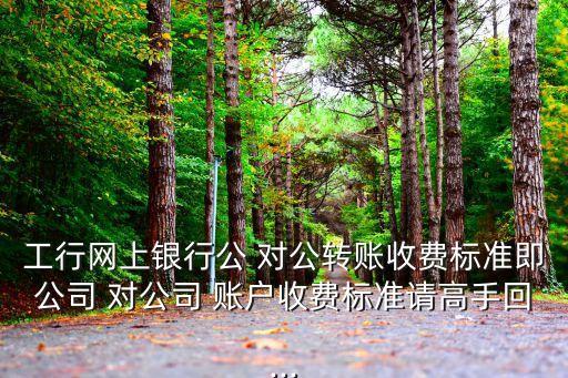 工行網(wǎng)上銀行公 對公轉賬收費標準即公司 對公司 賬戶收費標準請高手回...