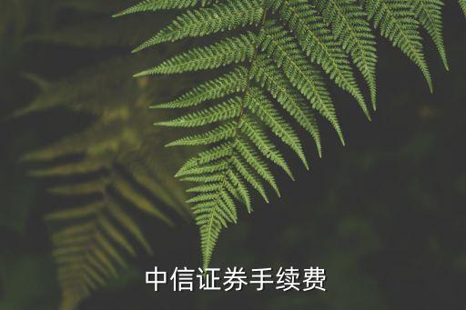 中信手機(jī)開戶默認(rèn)傭金多少錢