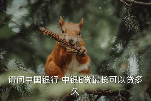 請(qǐng)問(wèn)中國(guó)銀行 中銀E貸最長(zhǎng)可以貸多久