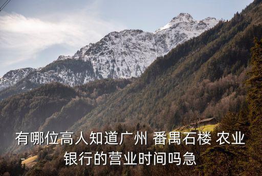 番禺農(nóng)業(yè)銀行番禺支行電話多少,農(nóng)業(yè)銀行廣州番禺星河灣支行