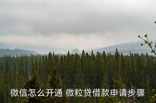 微信怎么開通 微粒貸借款申請步驟