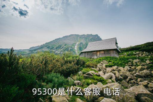 95300是什么客服 電話