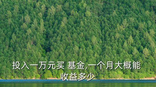 投入一萬(wàn)元買 基金,一個(gè)月大概能 收益多少