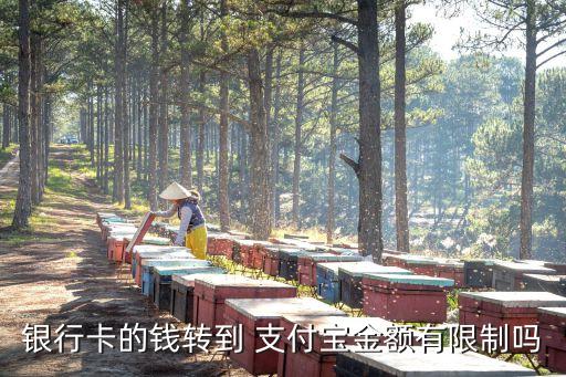 銀行卡的錢轉(zhuǎn)到 支付寶金額有限制嗎