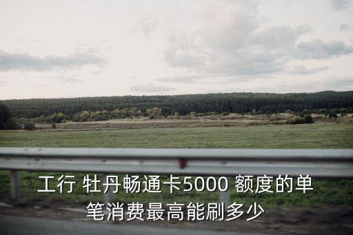 牡丹卡額度是多少,為什么我的牡丹卡額度是1元呢