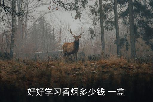好好學(xué)習(xí)香煙多少錢 一盒