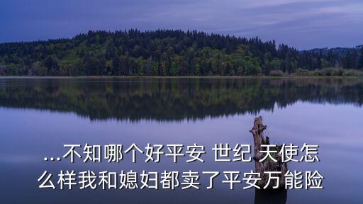 世紀(jì)天使最低多少保費(fèi)多少起步