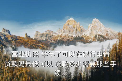  營業(yè)執(zhí)照 半年了可以在銀行申請 貸款嗎最低可以 貸款多少需要那些手續(xù)...