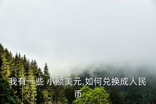 我有一些 小額美元,如何兌換成人民幣