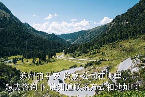  蘇州的平安 貸款 公司在哪里,,想去咨詢下,誰知道聯(lián)系方式和地址啊