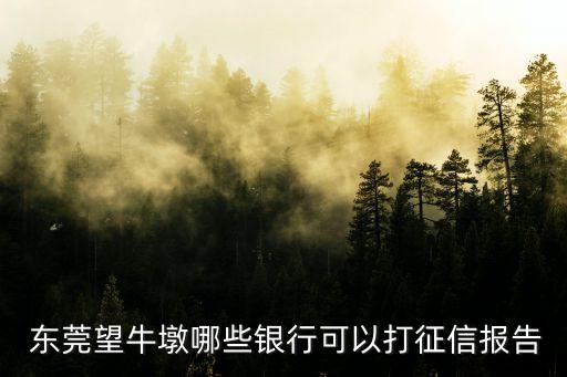  東莞望牛墩哪些銀行可以打征信報告