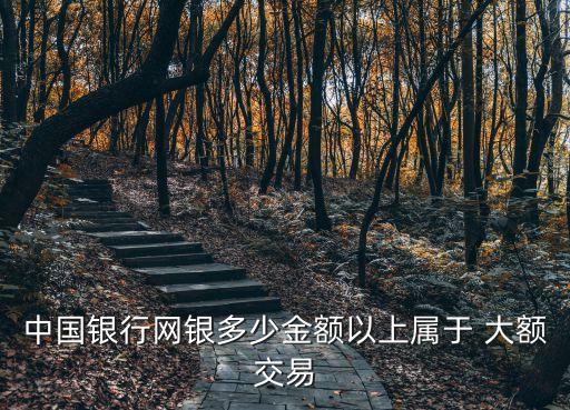 中國銀行網(wǎng)銀多少金額以上屬于 大額交易