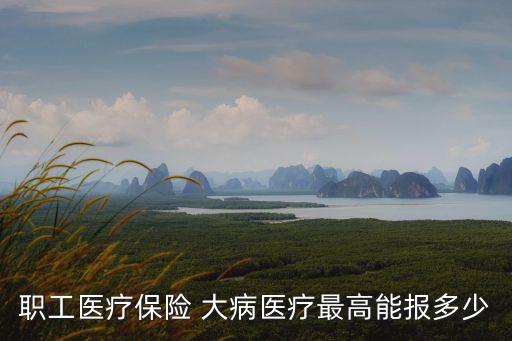 社保大病可以報(bào)銷(xiāo)多少,職工社保的大病險(xiǎn)報(bào)銷(xiāo)額度