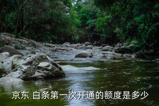 京東白條可以預(yù)支多少