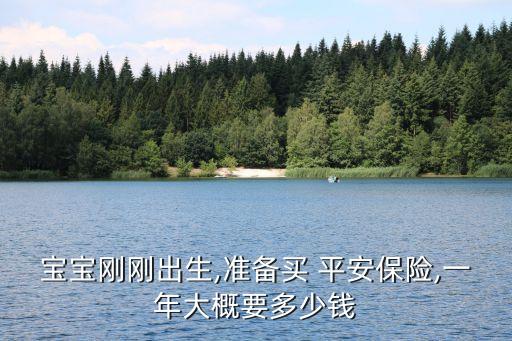 平安少兒保險(xiǎn)多少錢