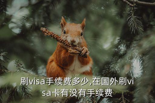 韓國(guó)刷visa手續(xù)費(fèi)多少,在國(guó)外刷visa卡有沒有手續(xù)費(fèi)