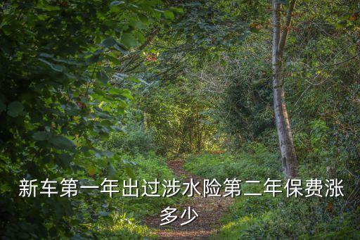 新車保險(xiǎn)費(fèi)率浮動(dòng)多少,可以通過保險(xiǎn)費(fèi)率浮動(dòng),引進(jìn)