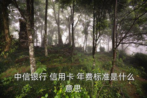 中信淘寶會員信用卡年費多少錢一個月