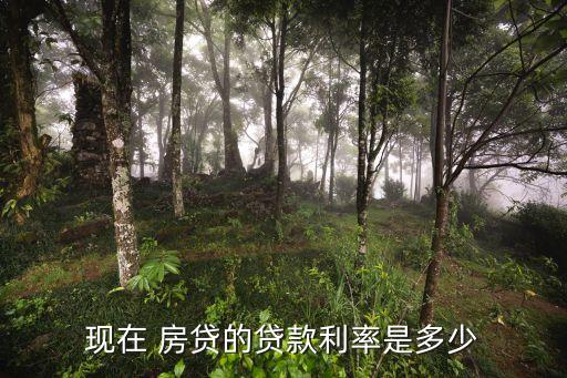 房貸銀行年利率是多少,銀行房貸需要什么條件和手續(xù)