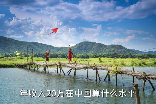 年收入20萬在中國算什么水平