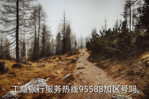 工商銀行服務(wù)熱線95588加區(qū)號(hào)嗎