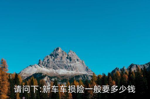 請問下:新車車損險一般要多少錢