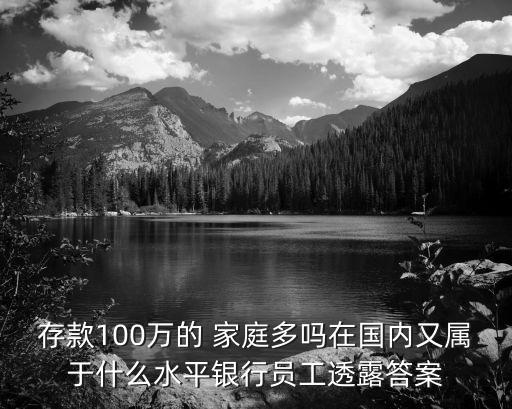 2005年 多少家庭100萬