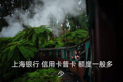 上海信用卡中心額度是多少錢,上海工會(huì)信用卡額度