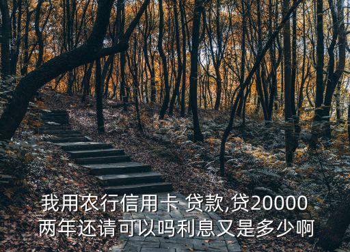 我用農(nóng)行信用卡 貸款,貸20000 兩年還請可以嗎利息又是多少啊
