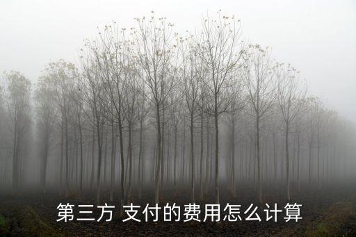 第三方支付對(duì)接多少錢,uniapp對(duì)接第三方支付